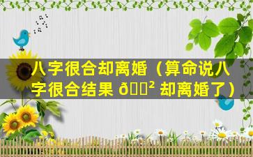 八字很合却离婚（算命说八字很合结果 🌲 却离婚了）